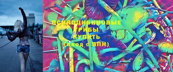 мескалин Богородицк